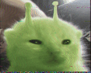 Meet Greeble: A Test of the Article System